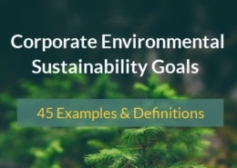 corporate sustainability examples