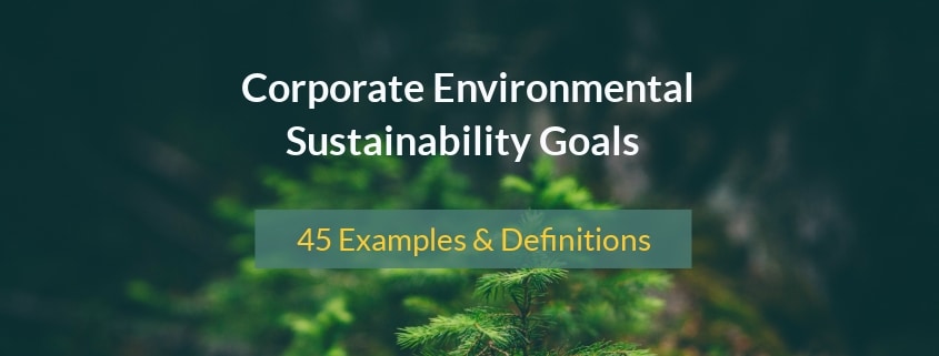 corporate sustainability examples